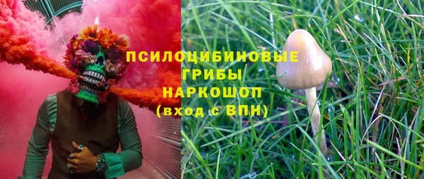 mix Няндома